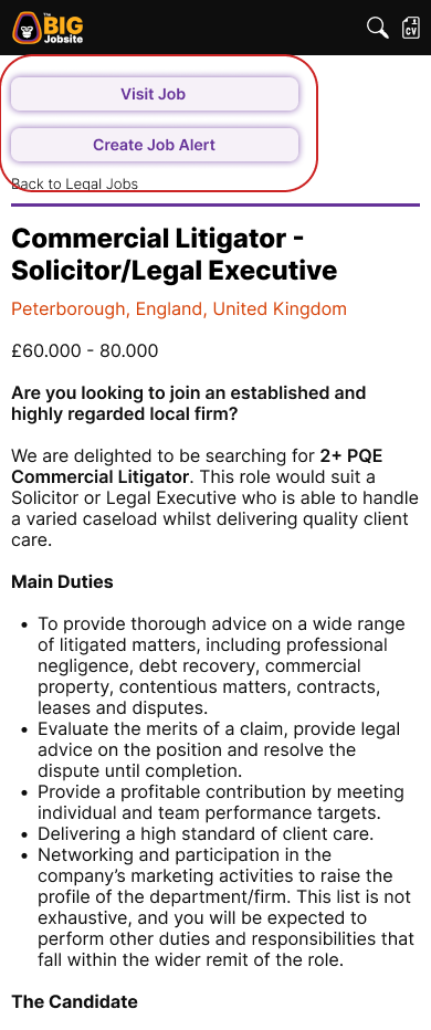 The BIG Jobsite : original job details page