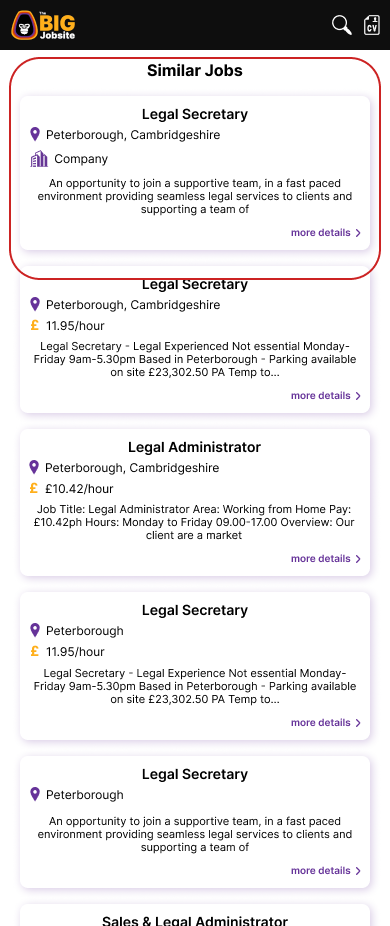 The BIG Jobsite : original job details page