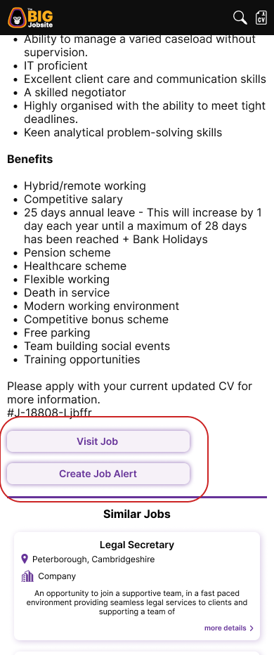 The BIG Jobsite : original job details page