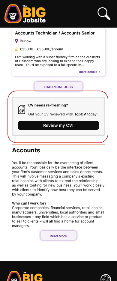 The BIG Jobsite : original results page