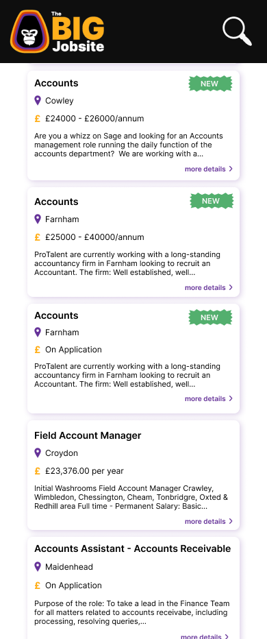 The BIG Jobsite : original results page
